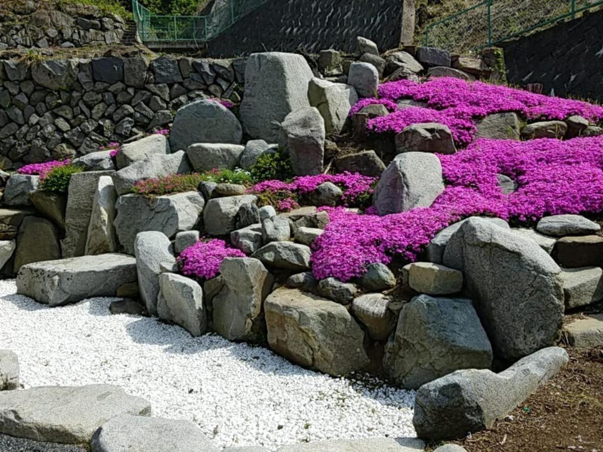 Siawase No Yado Shared With Host - Vacation Stay 68283V Fuefuki Exterior photo